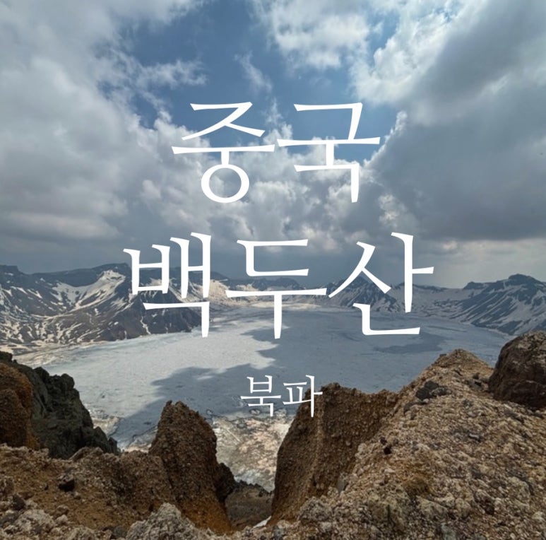 원트리투어 이미지