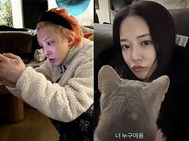 갤럭시아코퍼레이션 이미지