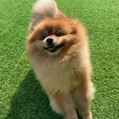 몽베베 이미지