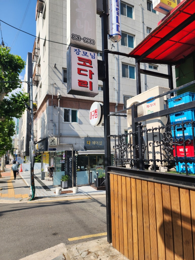 디딤빌 이미지