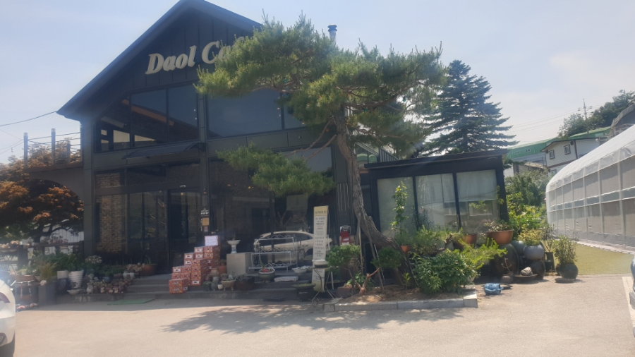 다올팜 이미지