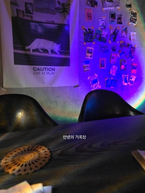 STEY 이미지