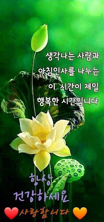 수지상사 이미지