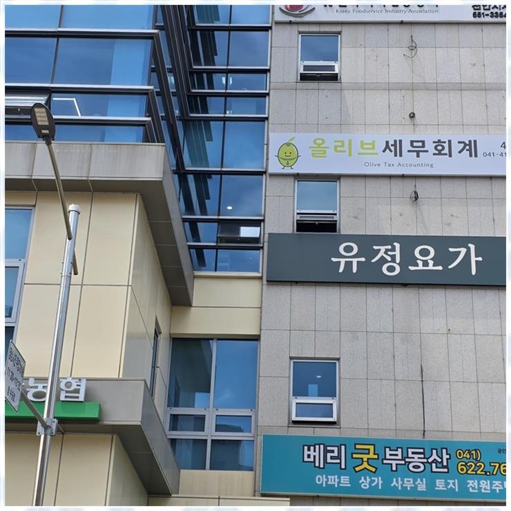 올리브세무회계 이미지
