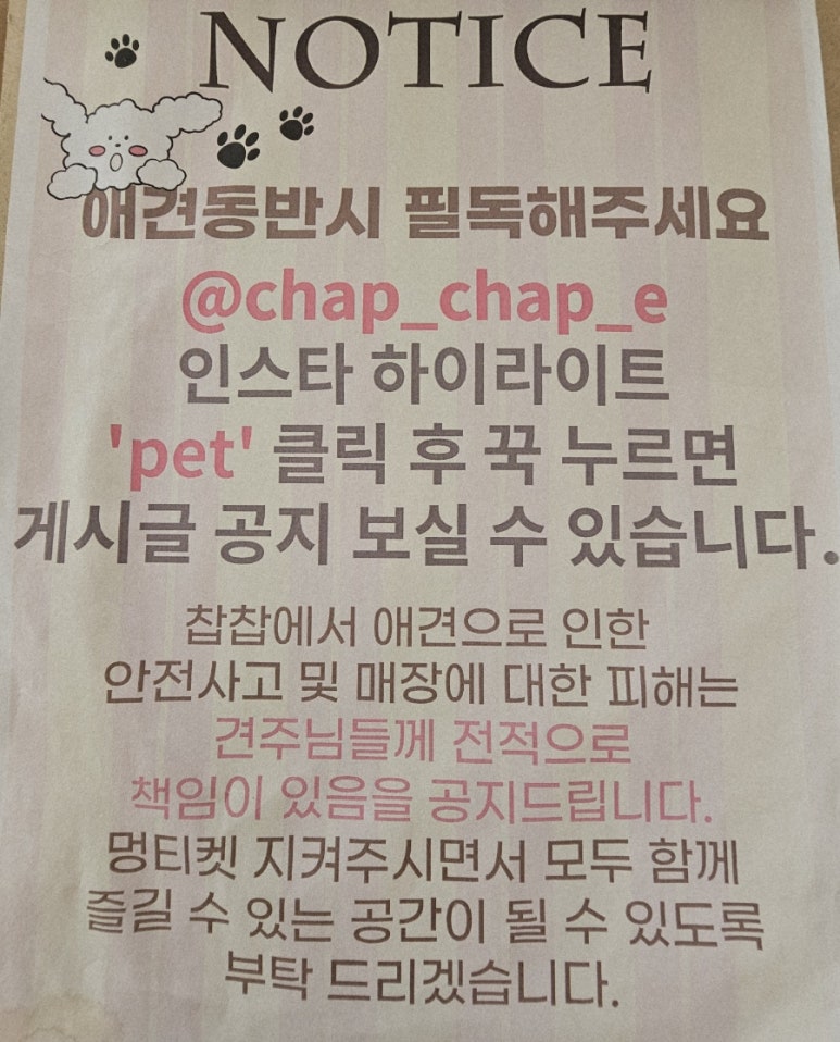 ChapChap(찹찹) 이미지