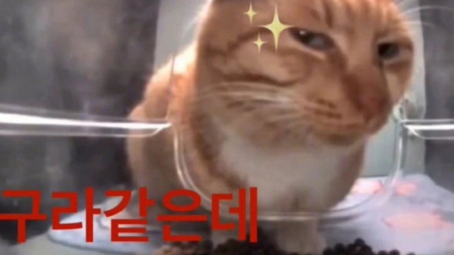 우레 이미지