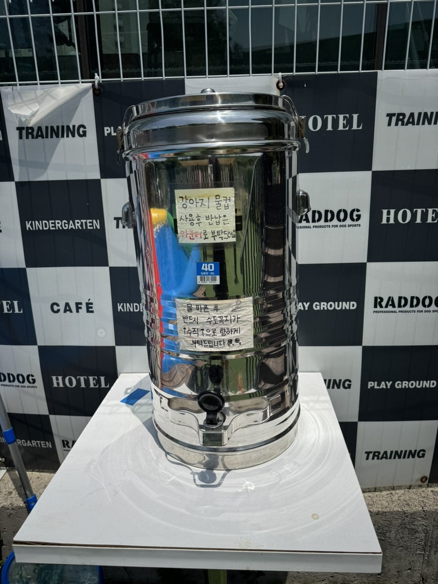 성남 애견카페 라드독: 수영장·운동장 입장료 및 후기 — 사진 7