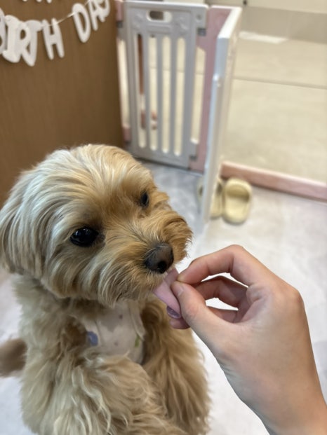유앤댕 이미지