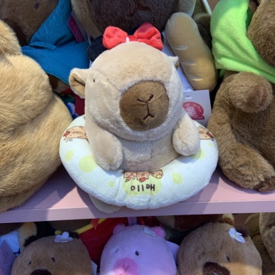 카피하우스 이미지