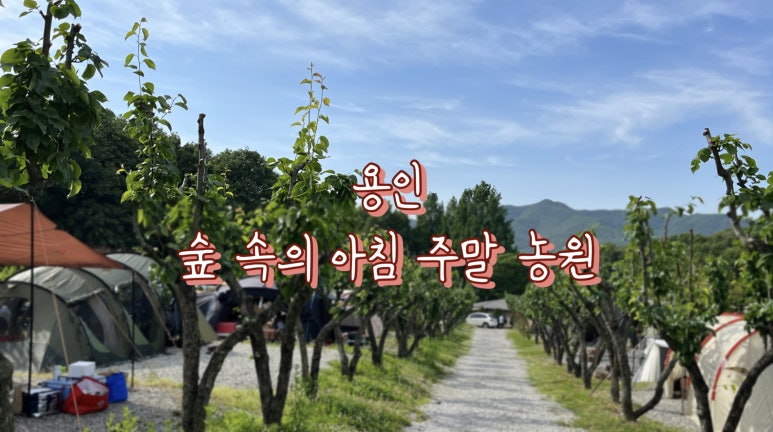 숲속의아침주말농원 이미지