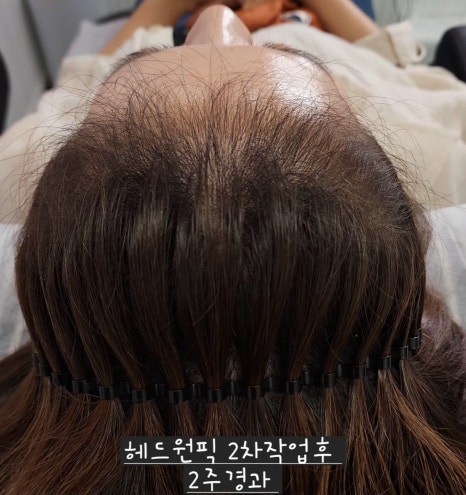 릿따 스타일 이미지