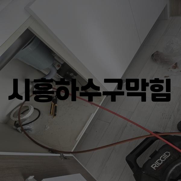 시흥하수구역류변기업체싱크대막힘고압세척 이미지