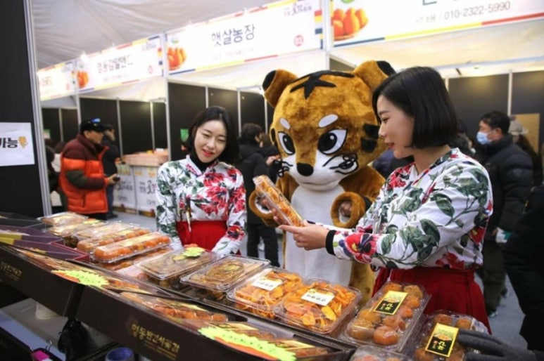 에이치기획 이미지
