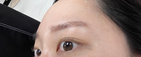 보니움 이미지