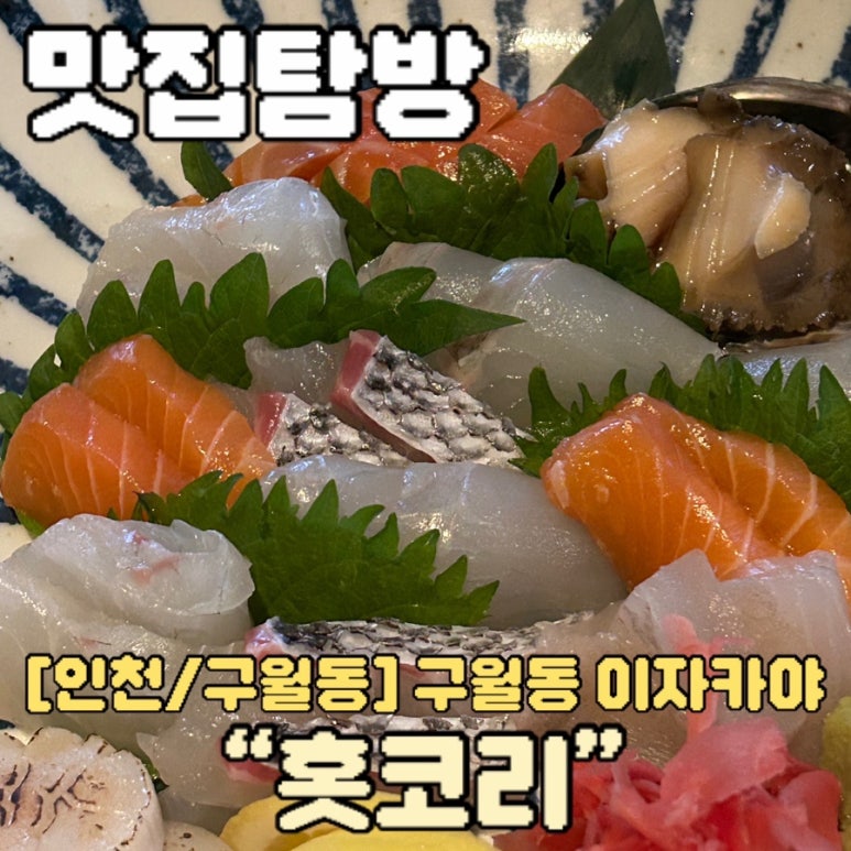 홋코리 이미지