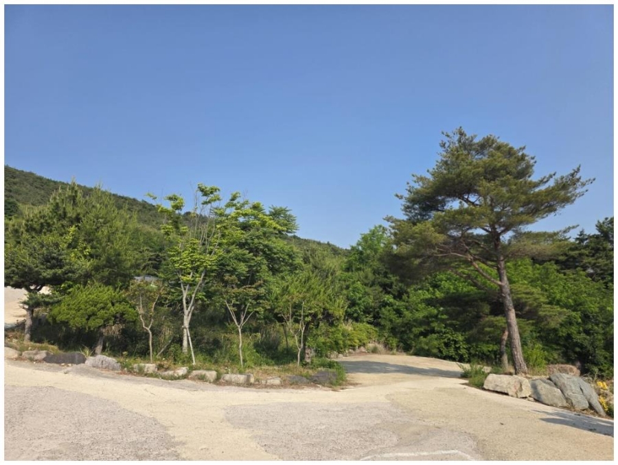 포항키즈 이미지
