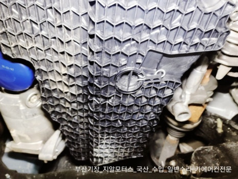 지알모터스 이미지