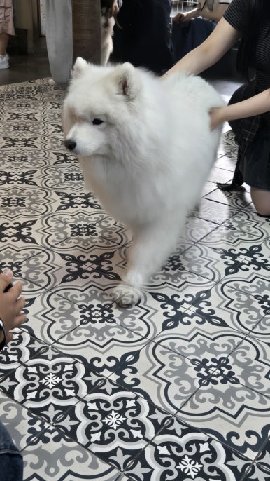 겨울이머무는집 이미지