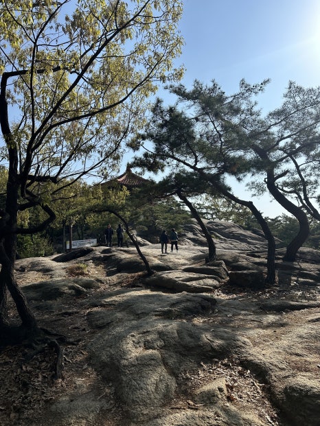 신토불이떡볶이 이미지