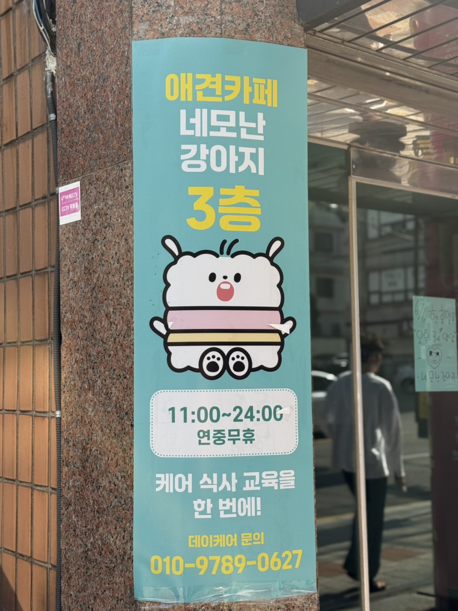 서울 애견카페 네모난강아지, 늦은 시간까지 신나게! — 사진 2