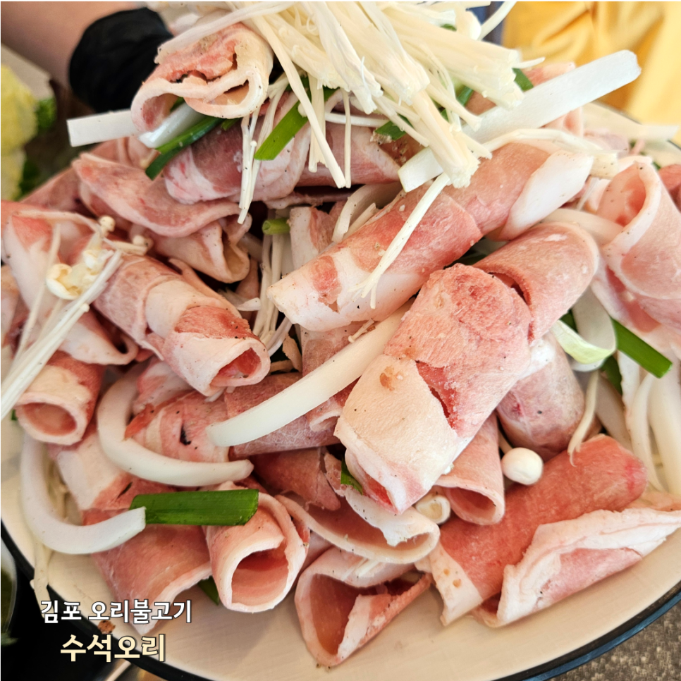 수석오리 이미지