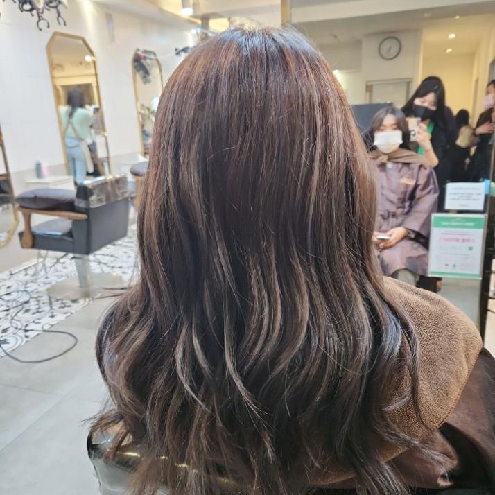 살롱 드 오늘 이미지