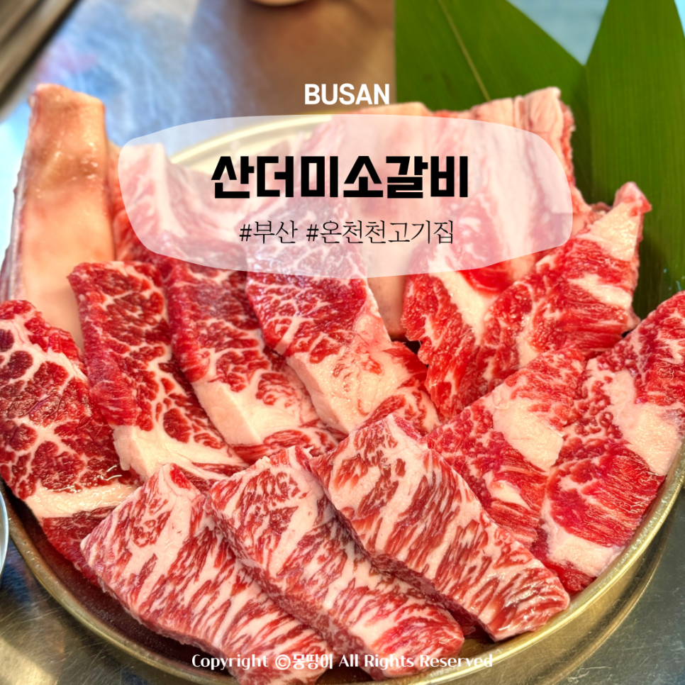 산더미소갈비 이미지