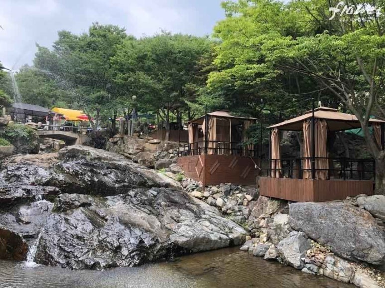 카페담 이미지