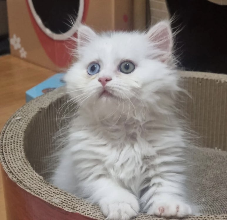 은하우리샵 이미지