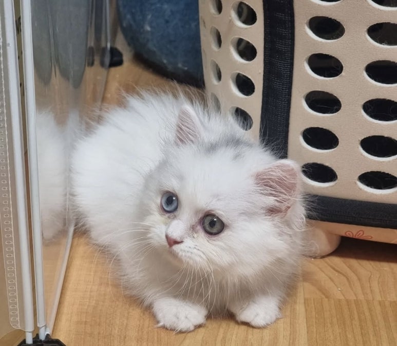 은하우리샵 이미지