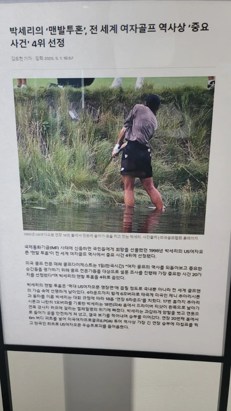 세리박 이미지