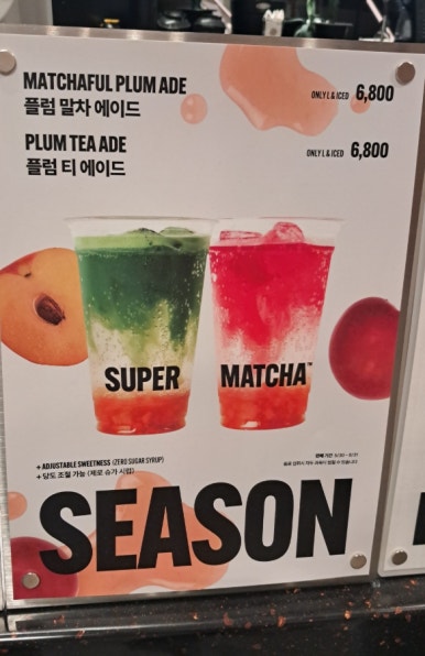 폴햄신세계팝업 이미지
