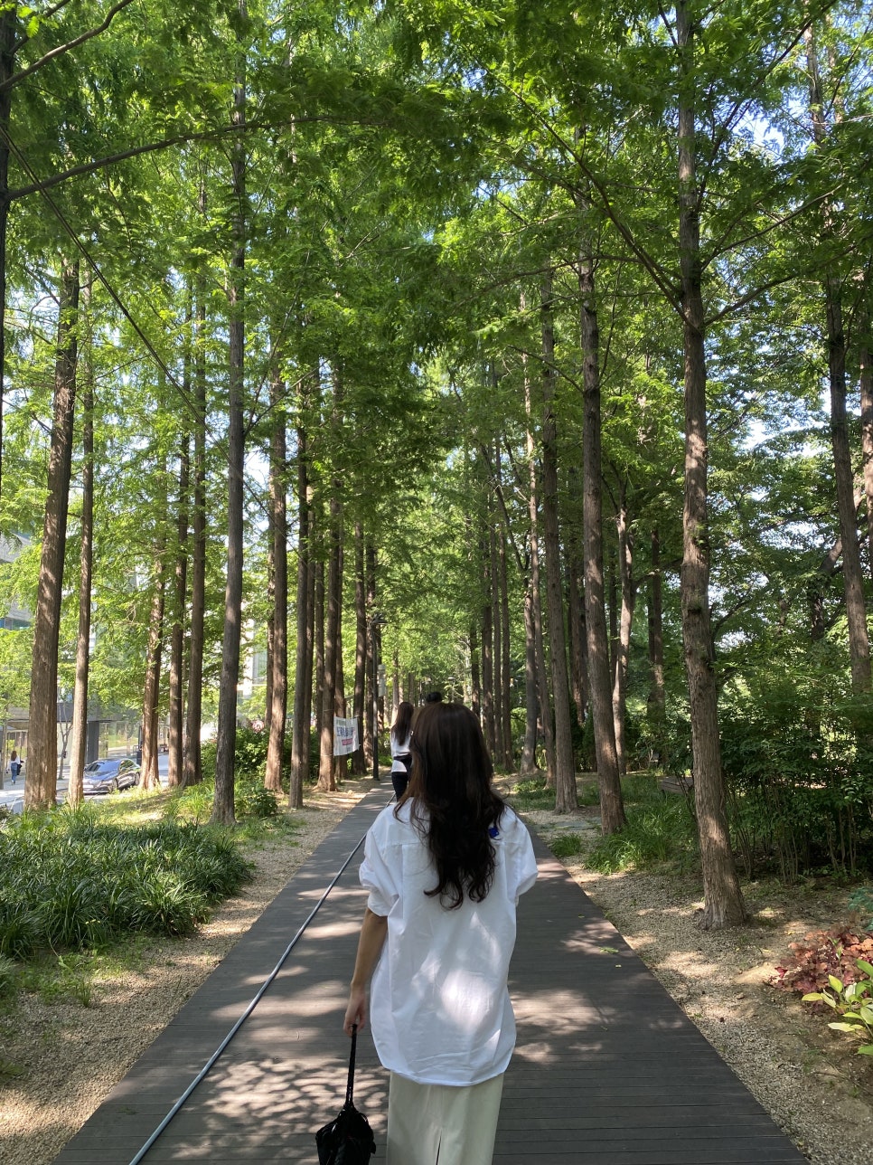 아모르헤어 이미지