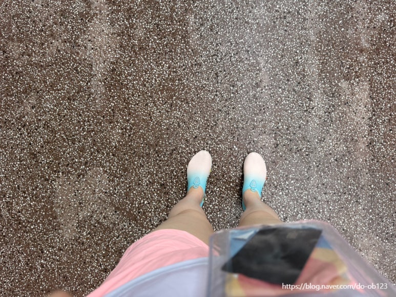 타오파크 이미지