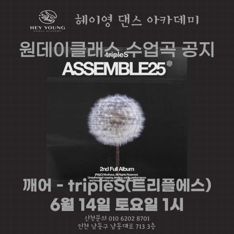영댄스아카데미 이미지