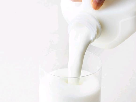 순수담다 이미지