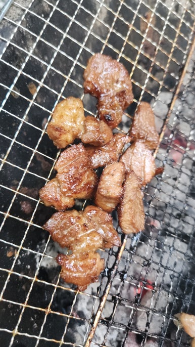 캠프하다 이미지