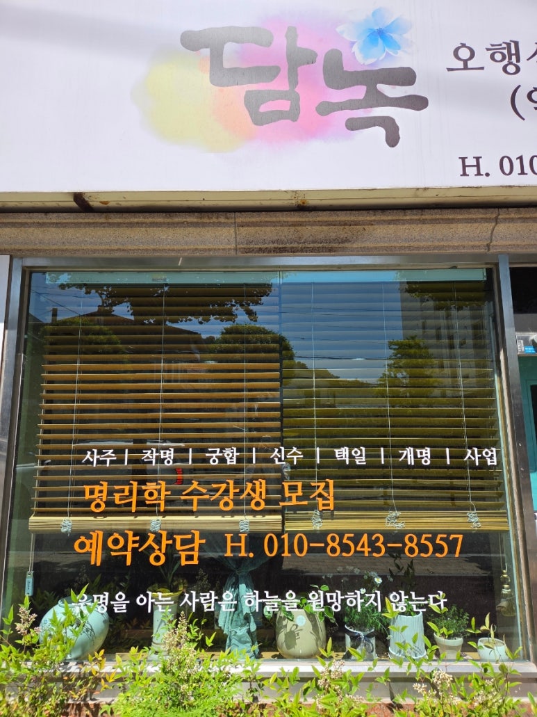 담녹 이미지