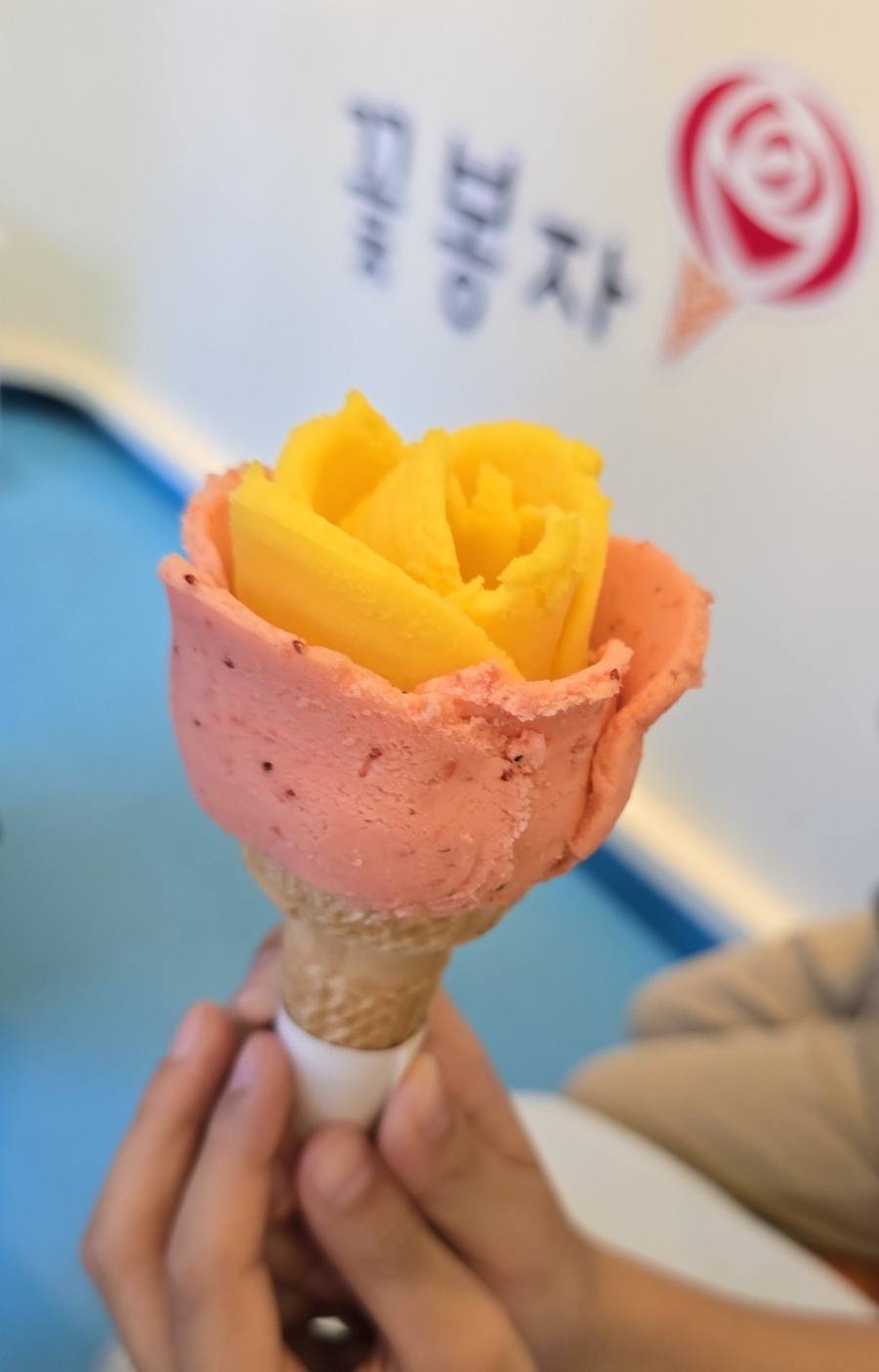 꽃봉자 이미지