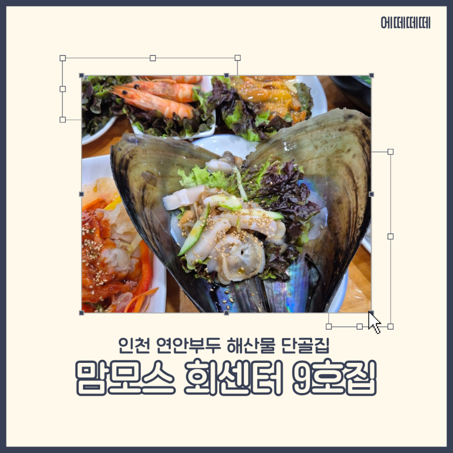 맘모스９호집 이미지