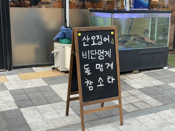 수다떠는오징어 이미지