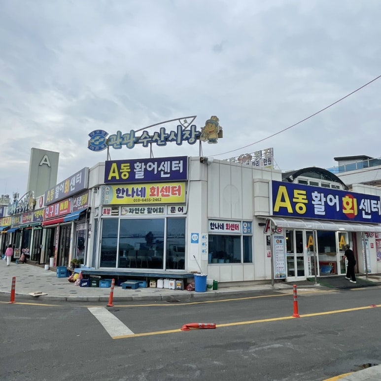 종일활어 이미지