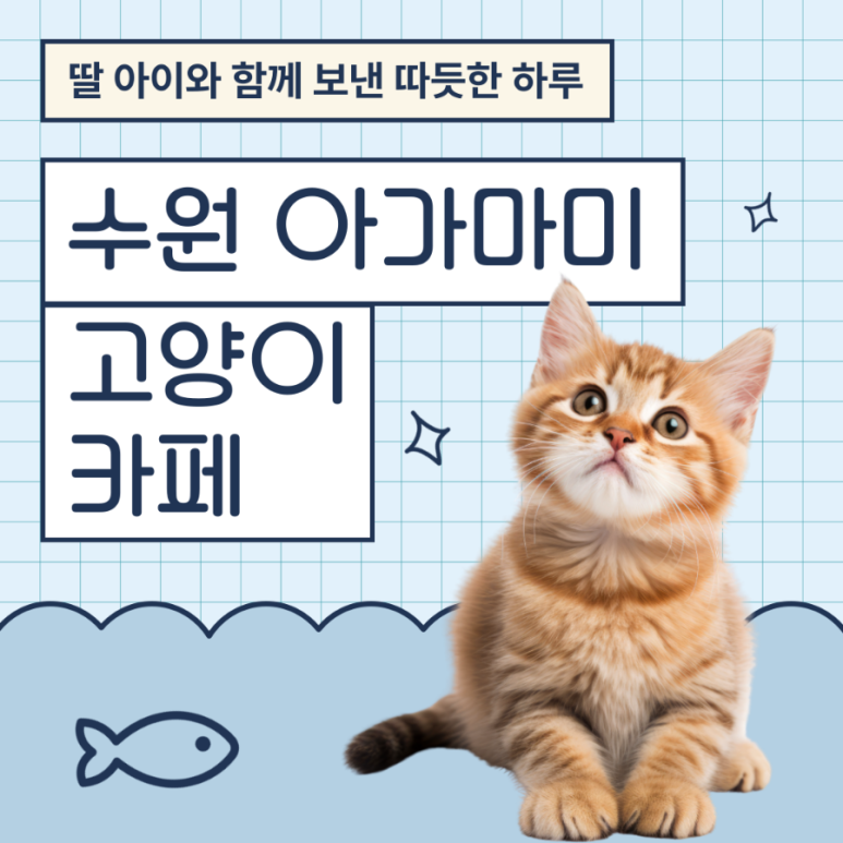 아가마미고양이카페 이미지