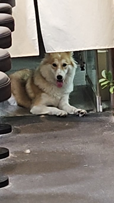 센몬텐 이미지