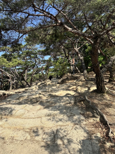신토불이떡볶이 이미지