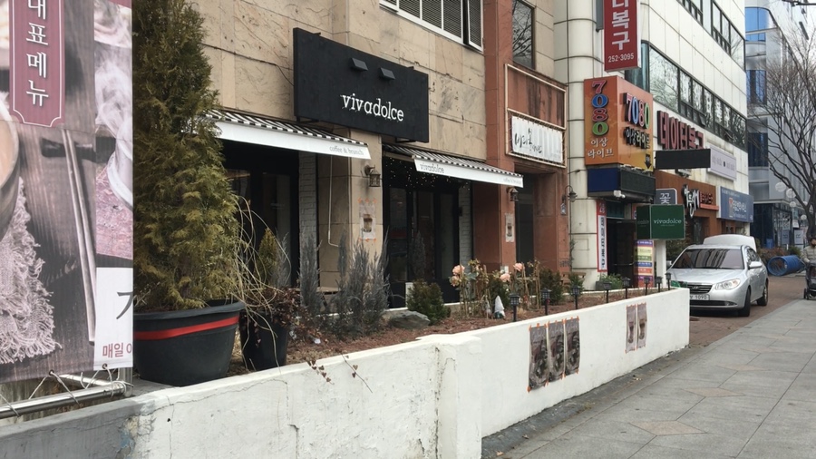 비바돌체 이미지