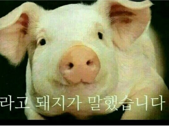 바다한상 이미지