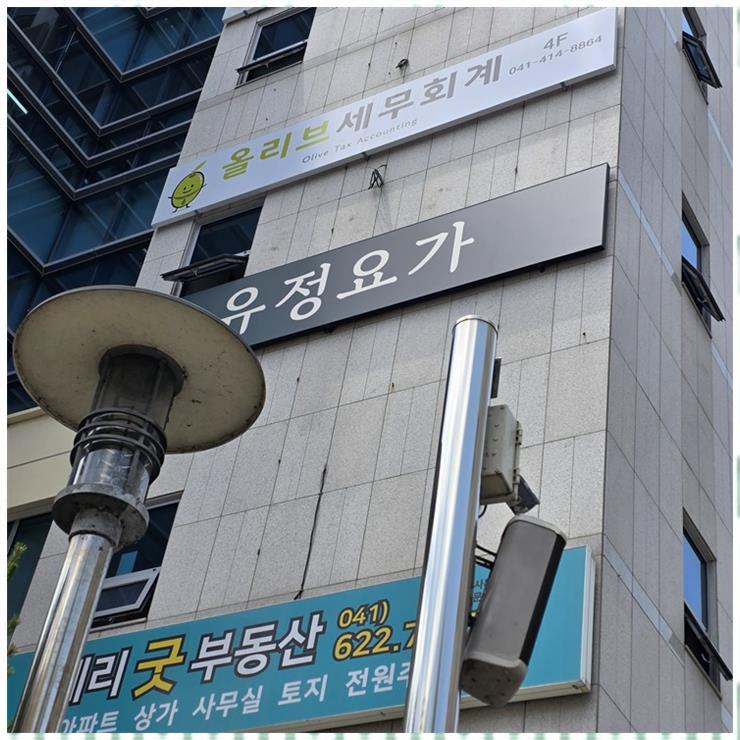 올리브세무회계 이미지
