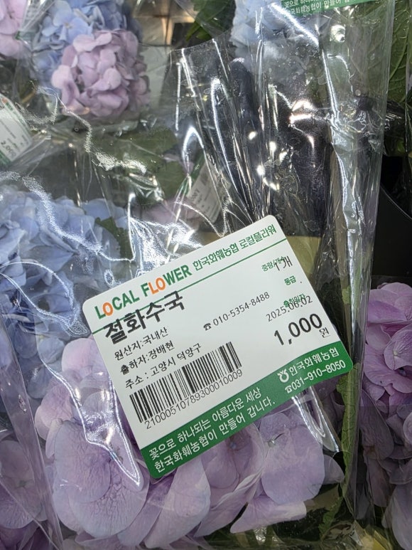 한국꽃직매장 이미지