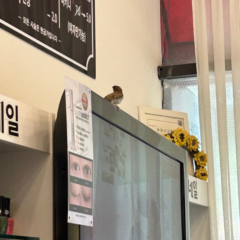 디바인뷰티살롱 이미지
